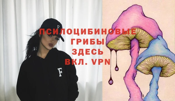 кокс Алексеевка