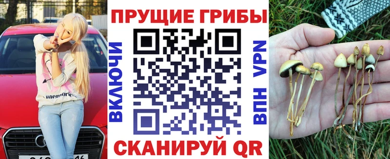 МЕГА зеркало  Елизово  Галлюциногенные грибы Cubensis 