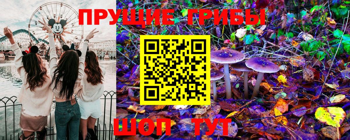 Псилоцибиновые грибы Cubensis Елизово