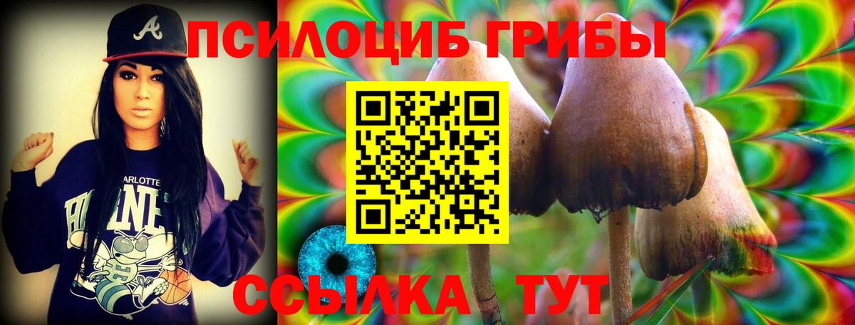 Псилоцибиновые грибы Psilocybe  Псилоцибиновые грибы MAGIC MUSHROOMS  Елизово  Вход с VPN 