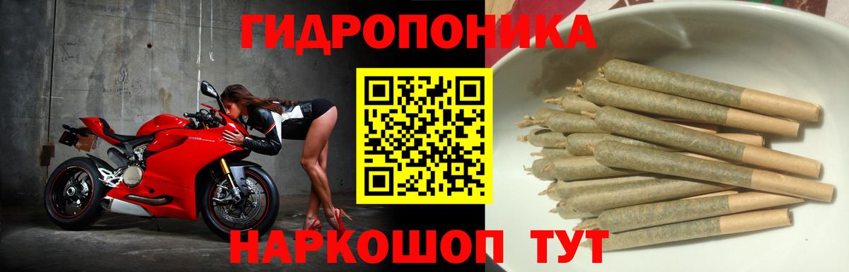 Елизово  Каннабис конопля  Конопля VHQ  Бошки Шишки VHQ  Вход с VPN 